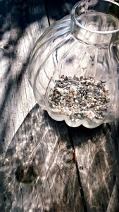 How to plant a terrarium, #terrarium #garden #plant