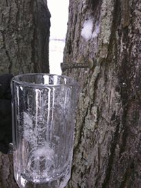 12736022_10207251949650025_848209625_n