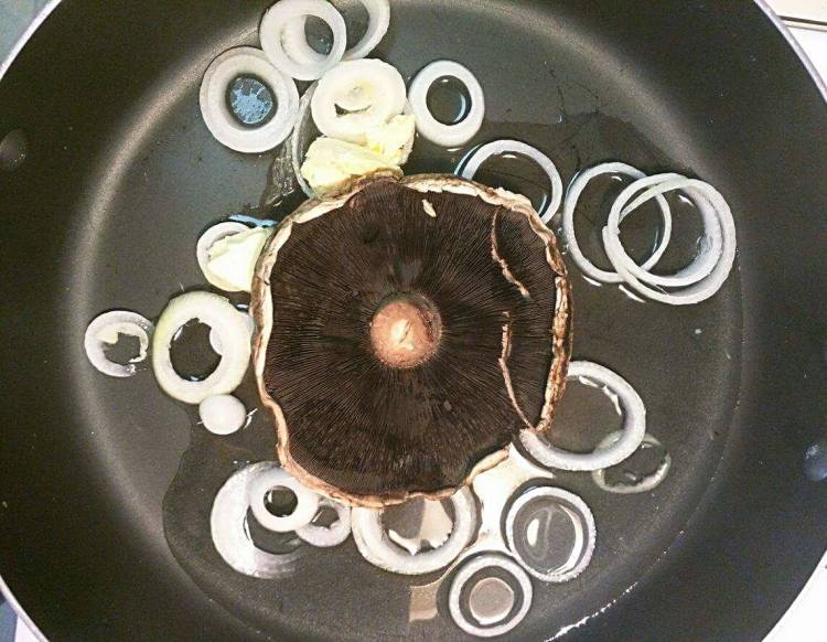 13009802_10206091015905000_1935227609_o