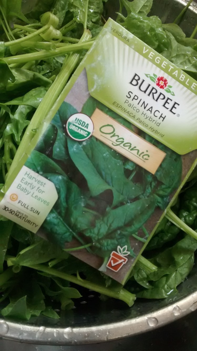 IMG_20160610_134429224