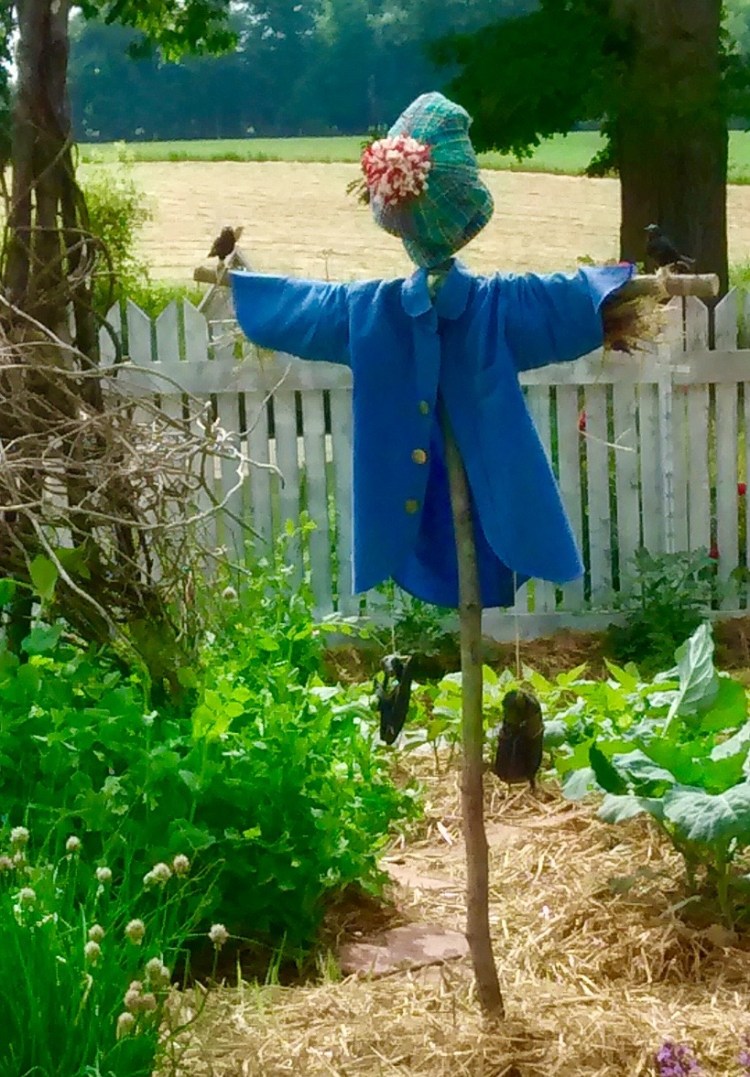 IMG_20160616_164726030