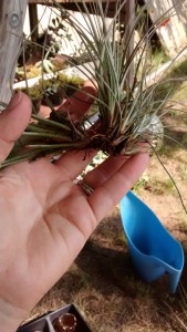 IMG_20160620_165013732