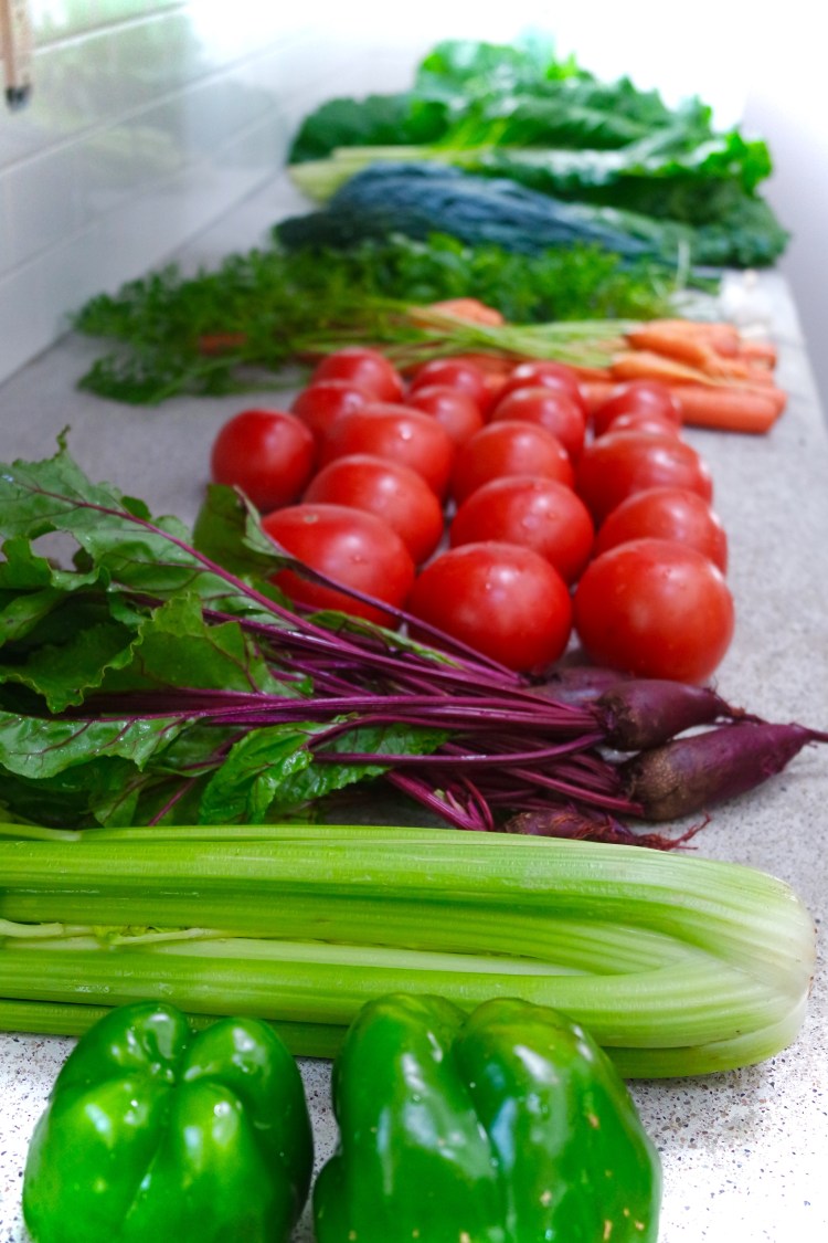 SAMSUNG CAMERA PICTURES