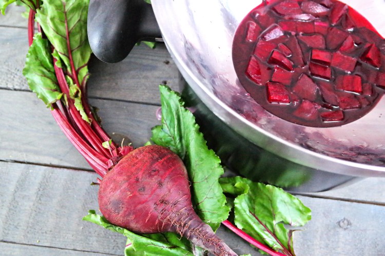 beet blush 4.jpg