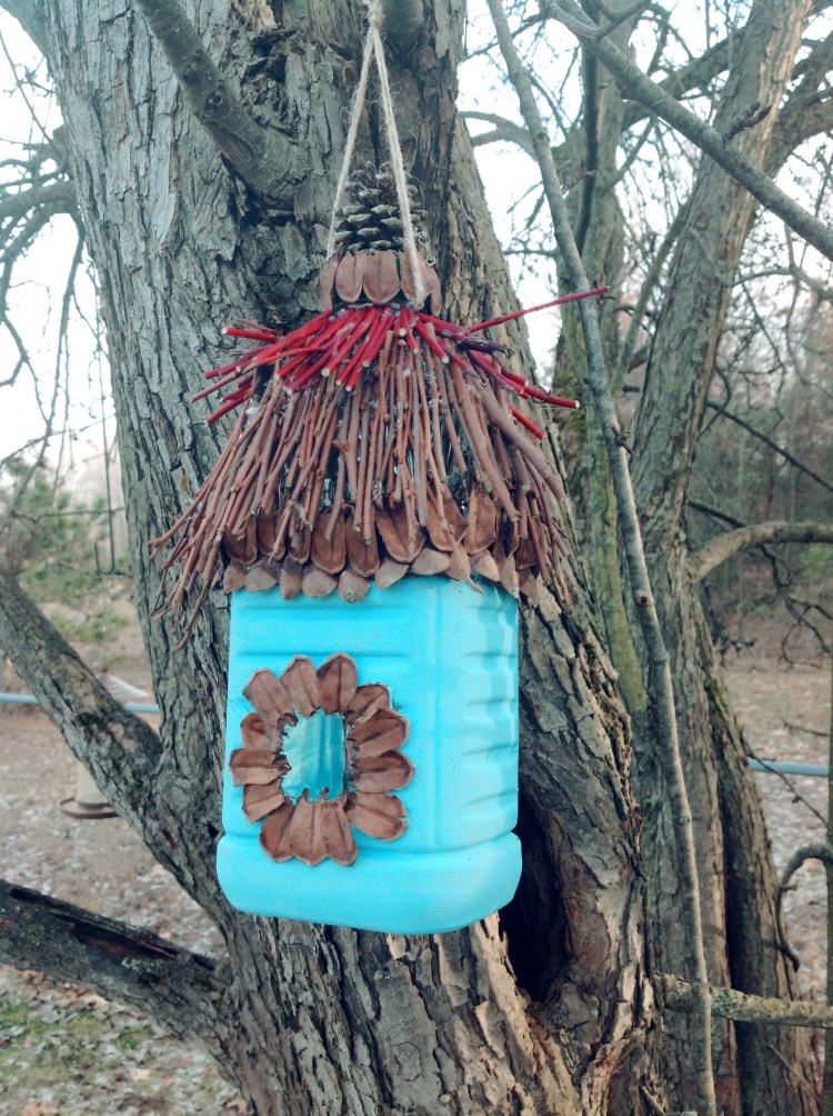 Processed with Rookie Cam