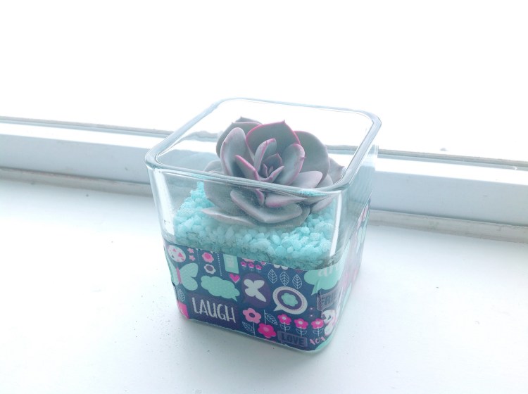 Processed with Rookie Cam