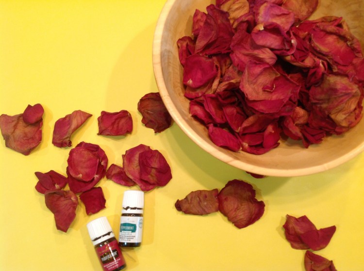 Processed with Rookie Cam