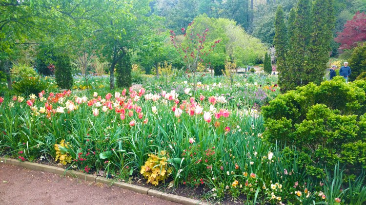 IMG_20170407_145112517_TOP