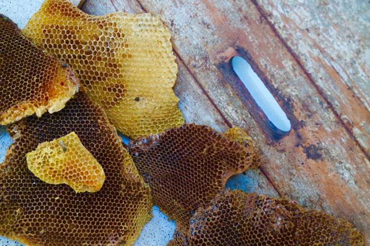 SAMSUNG CAMERA PICTURES