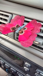 IMG_20170715_102359371_HDR